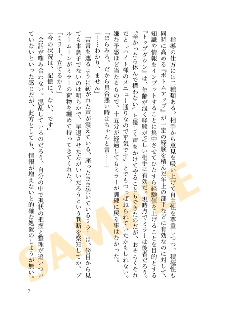 既刊 DMMN【SHIKIHAI COLLECTION.】