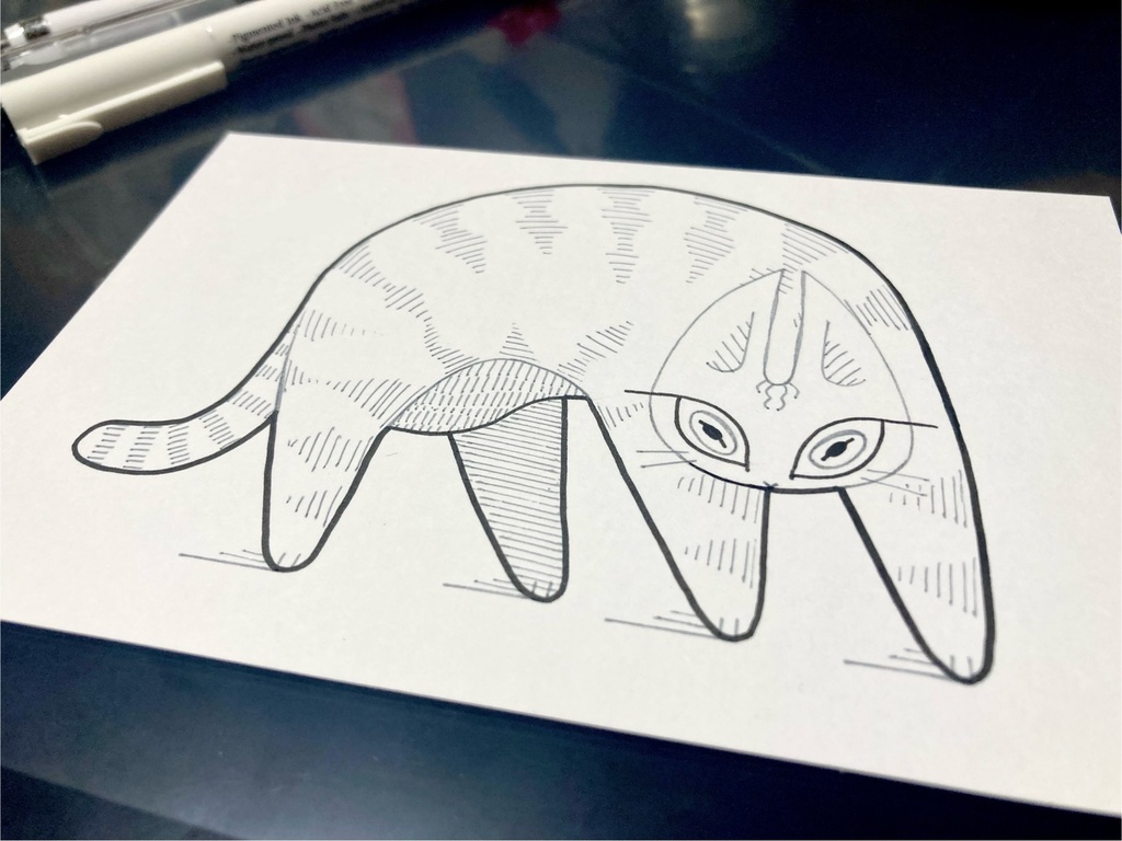 postcard cat
