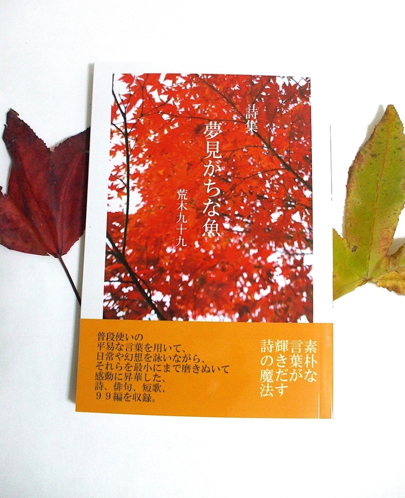 詩集 夢見がちな魚 カラー版