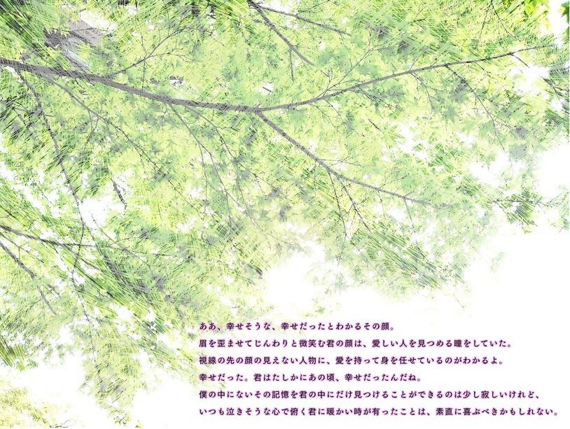 著作権フリーな写真素材★全161種セット★