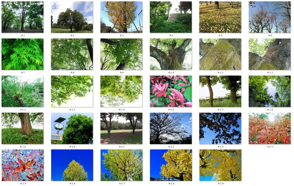 著作権フリーな写真素材★全161種セット★