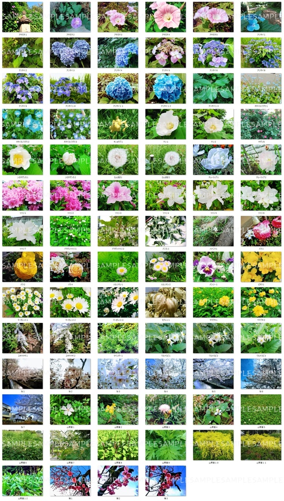 著作権フリーな写真素材★全161種セット★