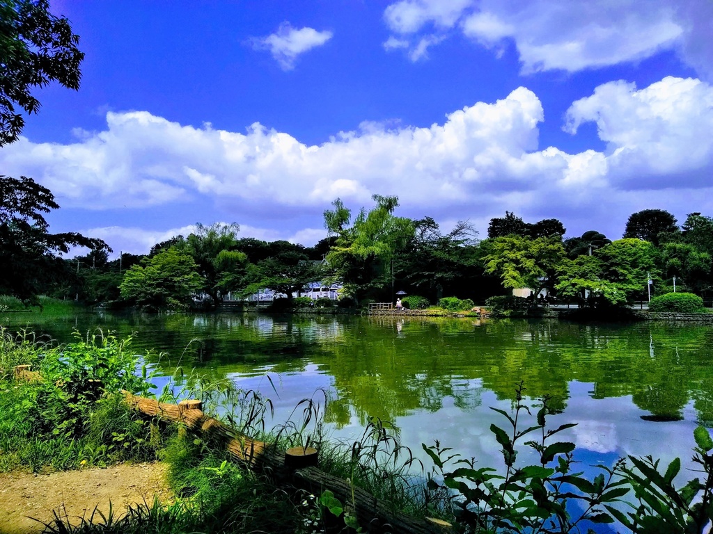 著作権フリーな写真素材★全161種セット★