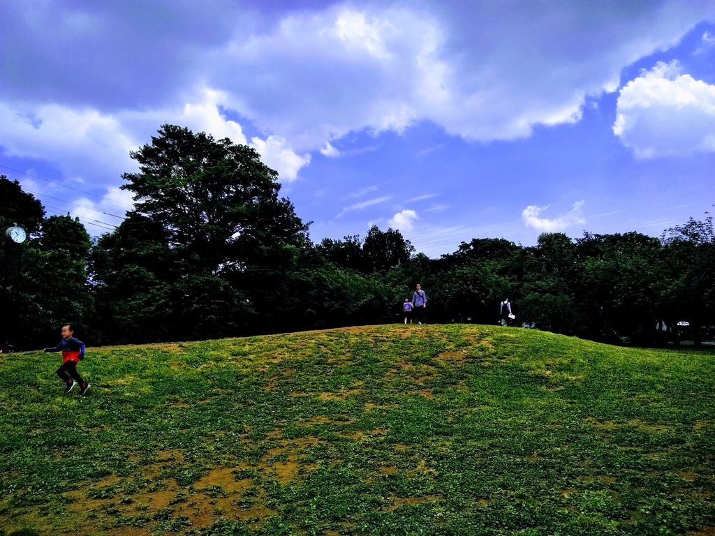 著作権フリーな写真素材★全161種セット★