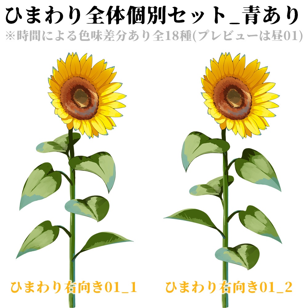 【配信用背景】夏空とひまわり畑背景セット【Vtuber向け】