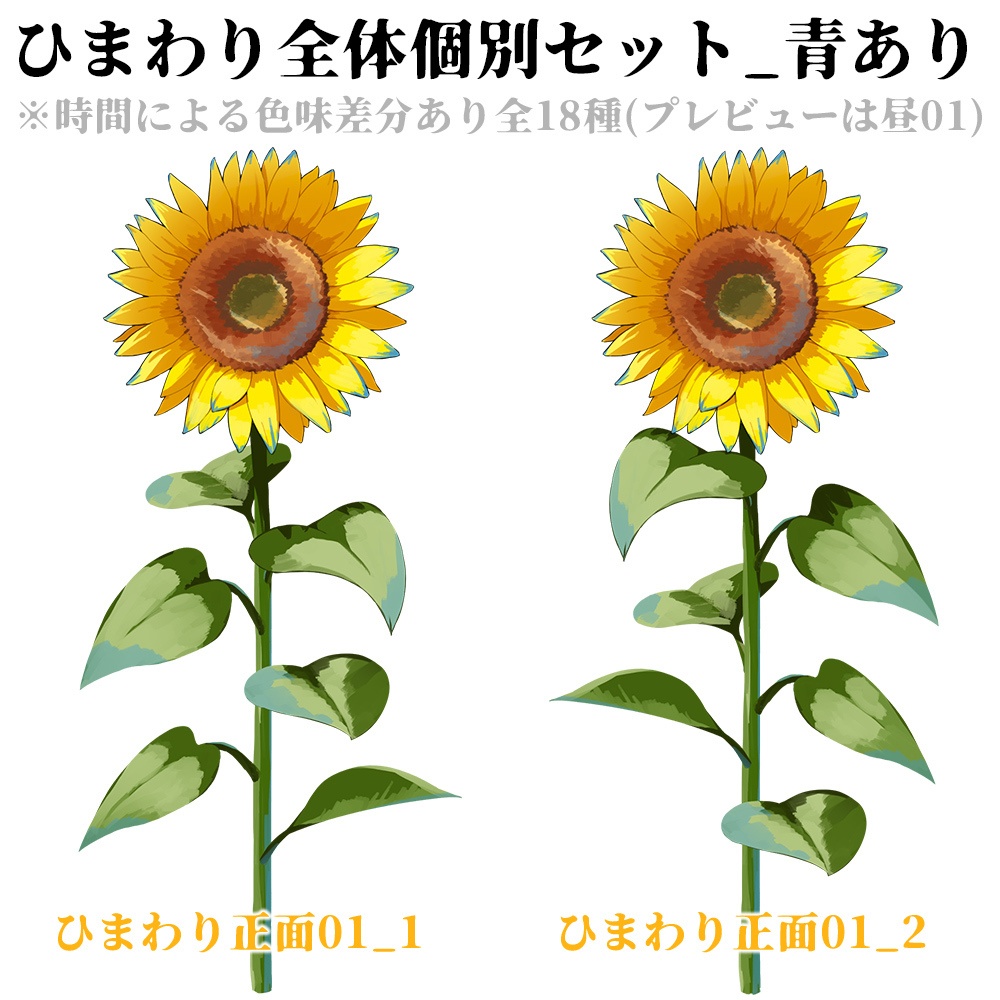 【配信用背景】夏空とひまわり畑背景セット【Vtuber向け】