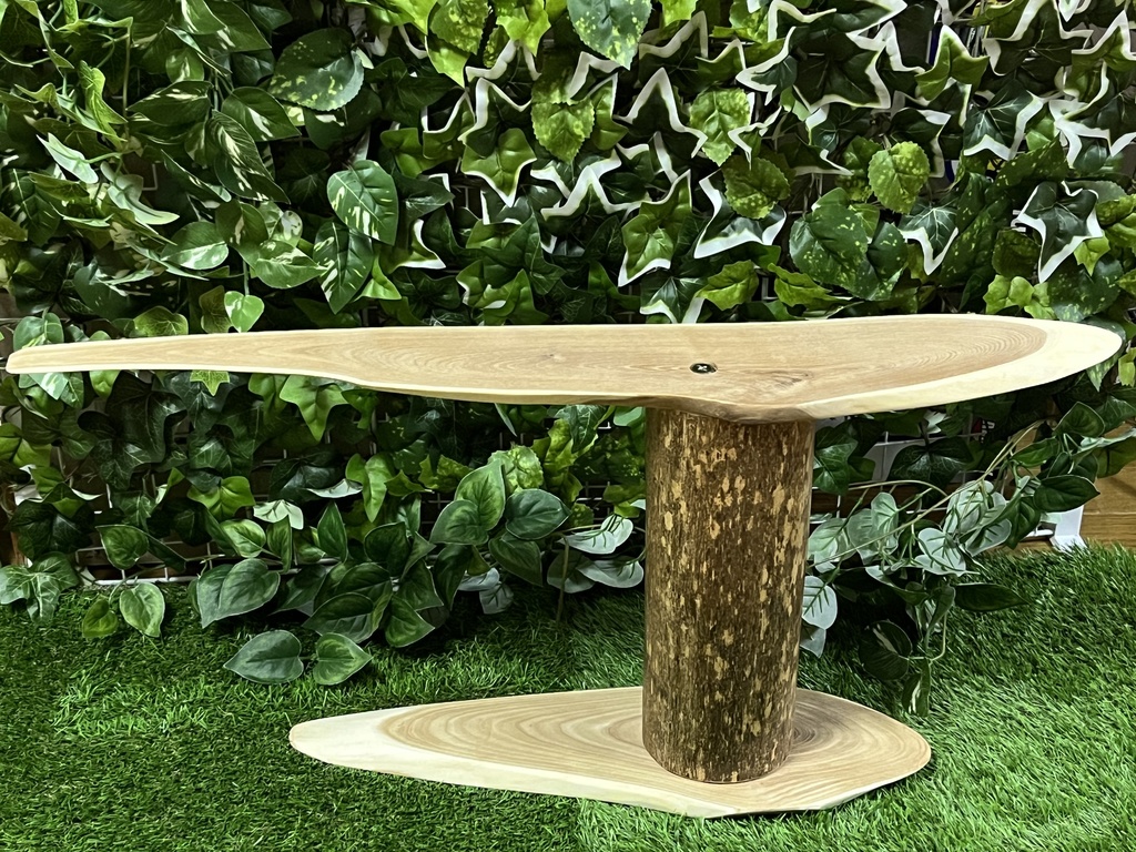 妖精さんがわらわら集まってくるかもしれないベンチ5号