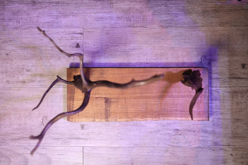 ちっちゃい妖精さんのハロウィンパーティー会場2号