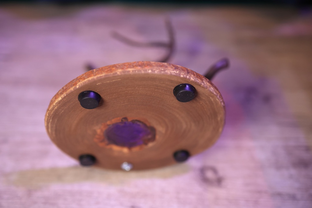 ちっちゃい妖精さんのハロウィンパーティー会場4号