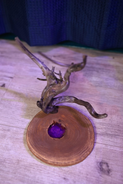 ちっちゃい妖精さんのハロウィンパーティー会場4号