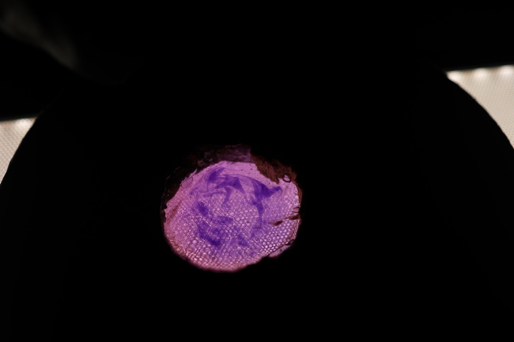 ちっちゃい妖精さんのハロウィンパーティー会場4号