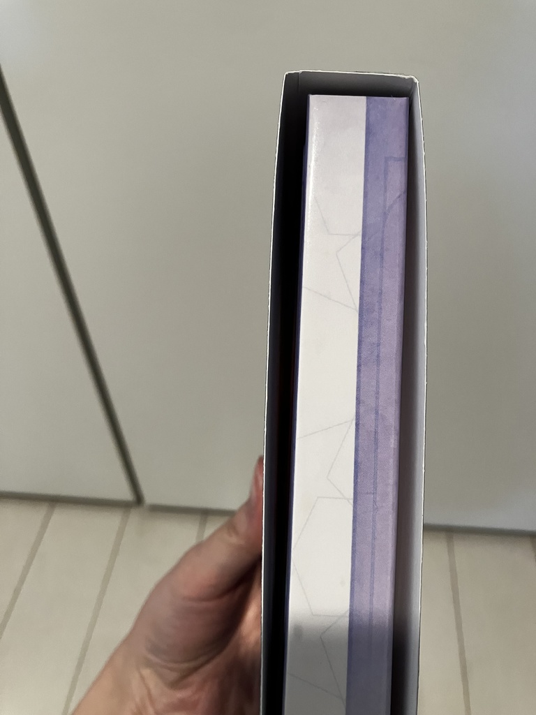 流星の果て、コスモスの眠り