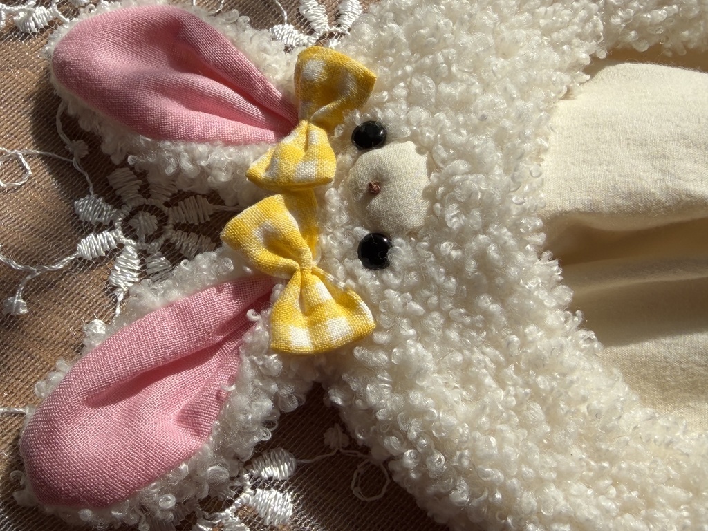 ぬいぐるみ服 うさぎ 着ぐるみ