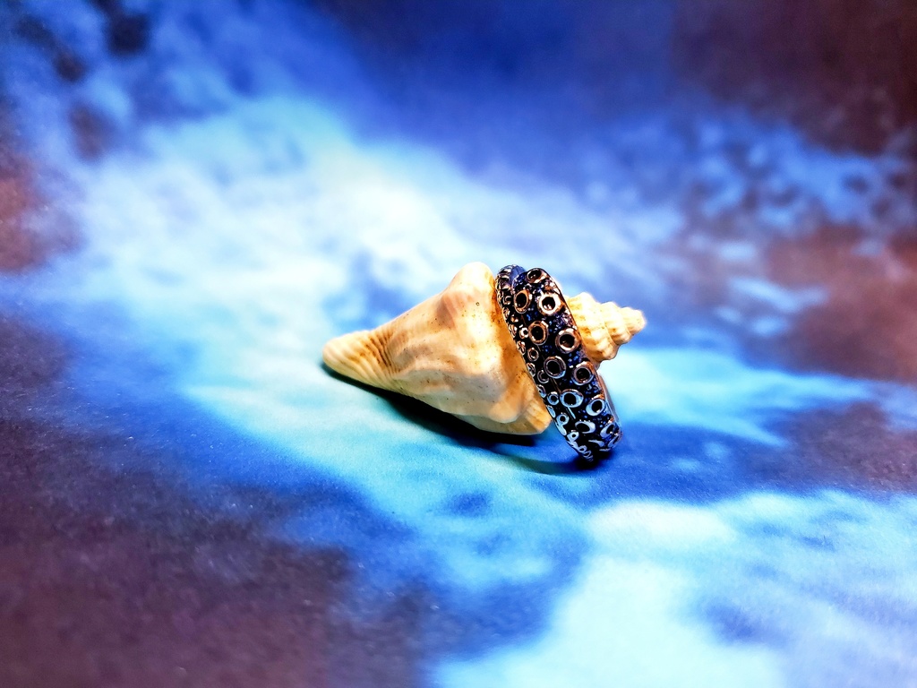 蛸の指輪