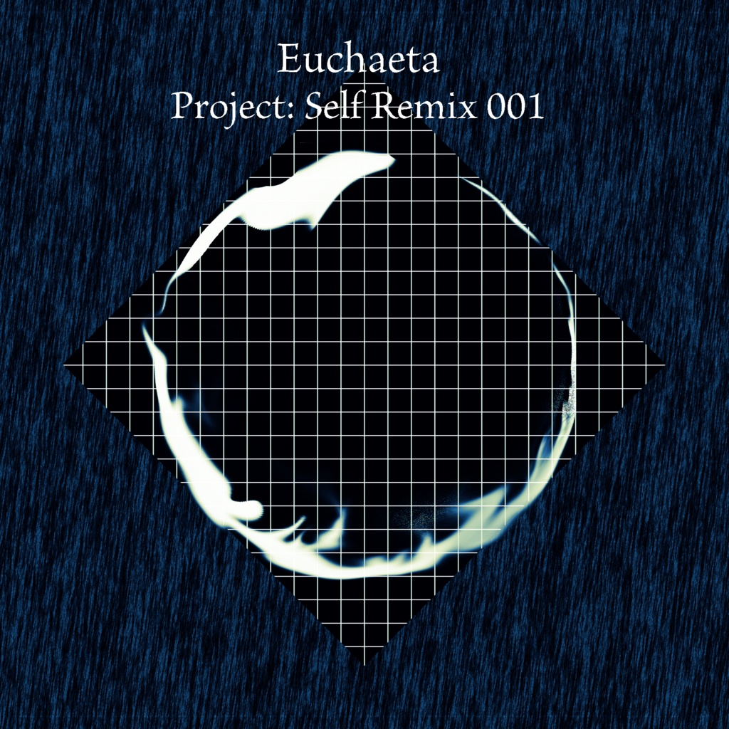 Project: Self Remix 001