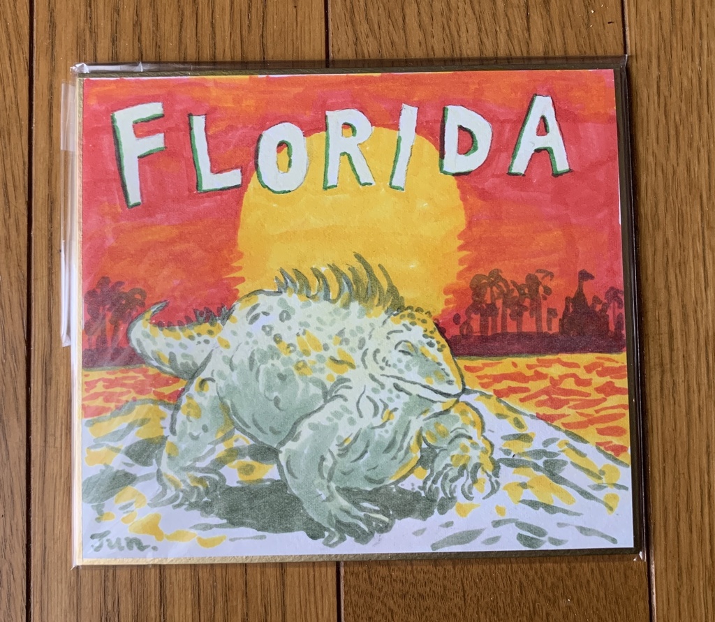 FLORIDA IGUANA