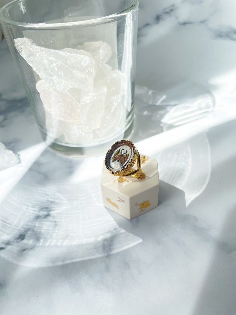 FGO イメージリング(オベロン)