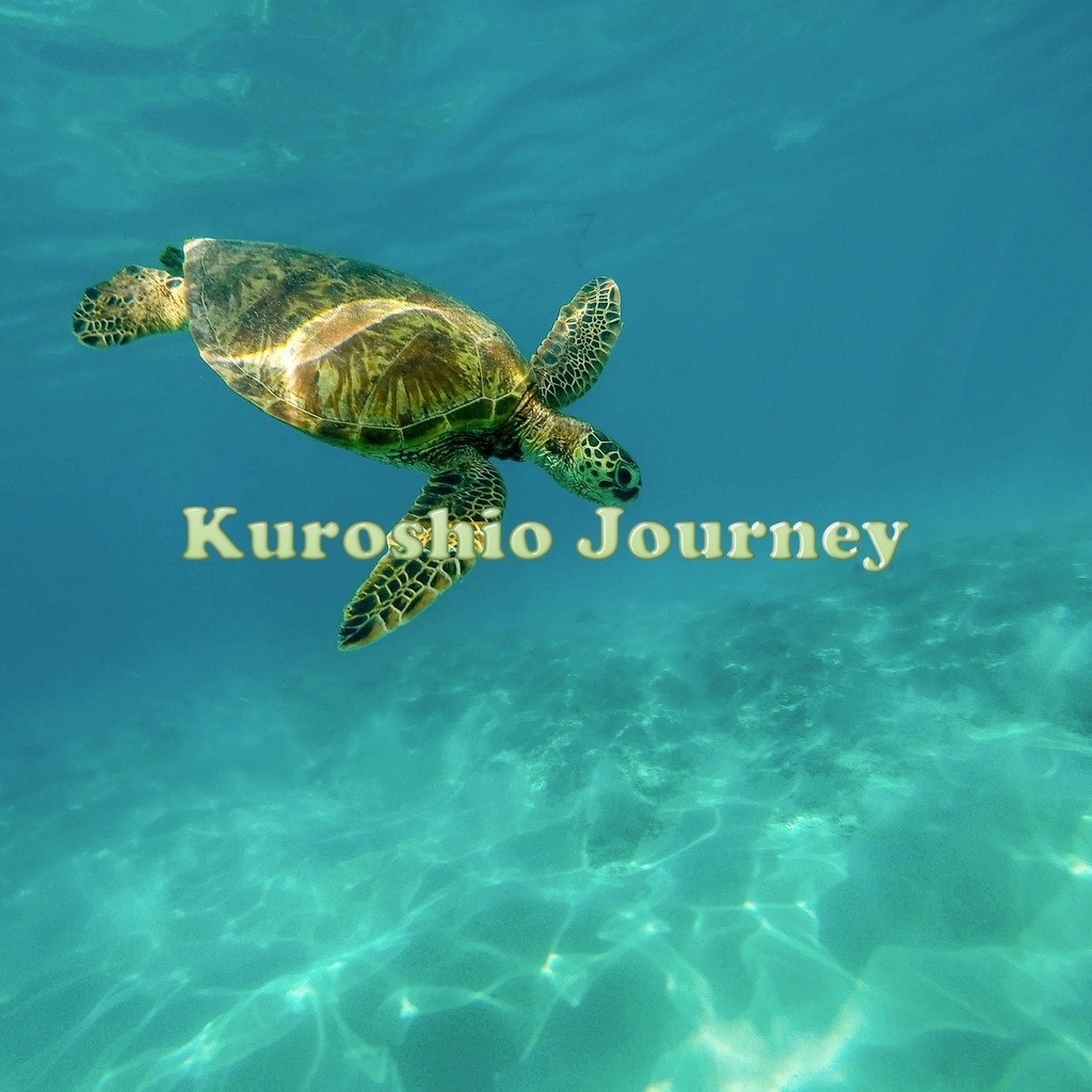 Kuroshio Journey