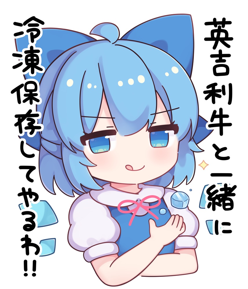 チルノTシャツ2