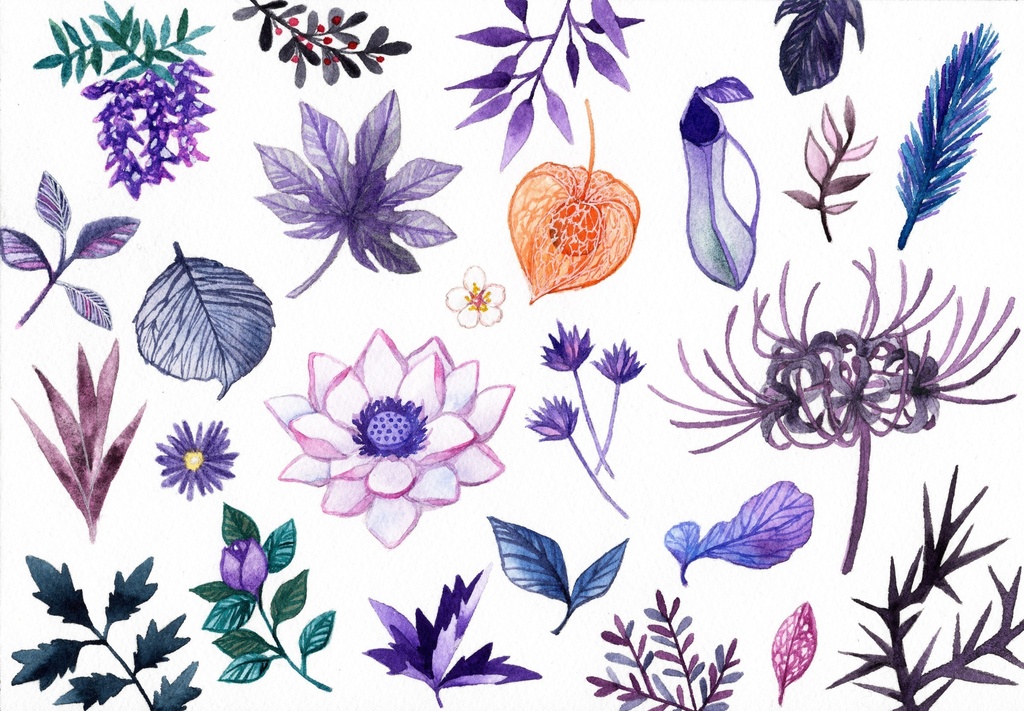 【ポストカード】植物スケッチ