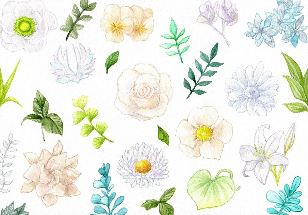 【ポストカード】植物スケッチ