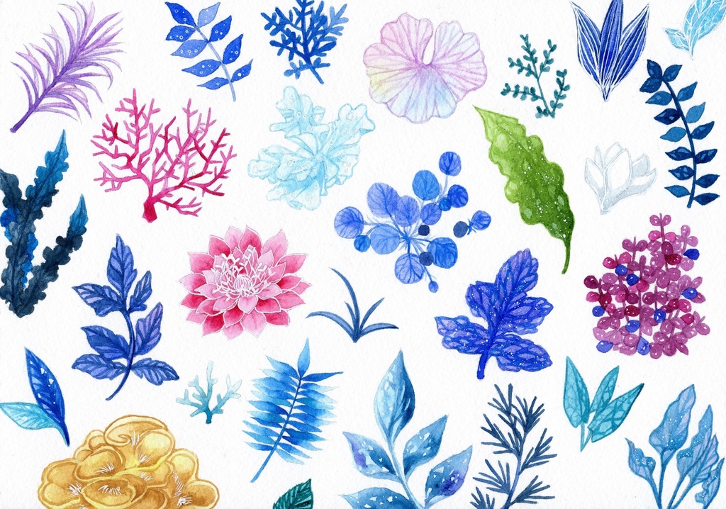 【ポストカード】植物スケッチ