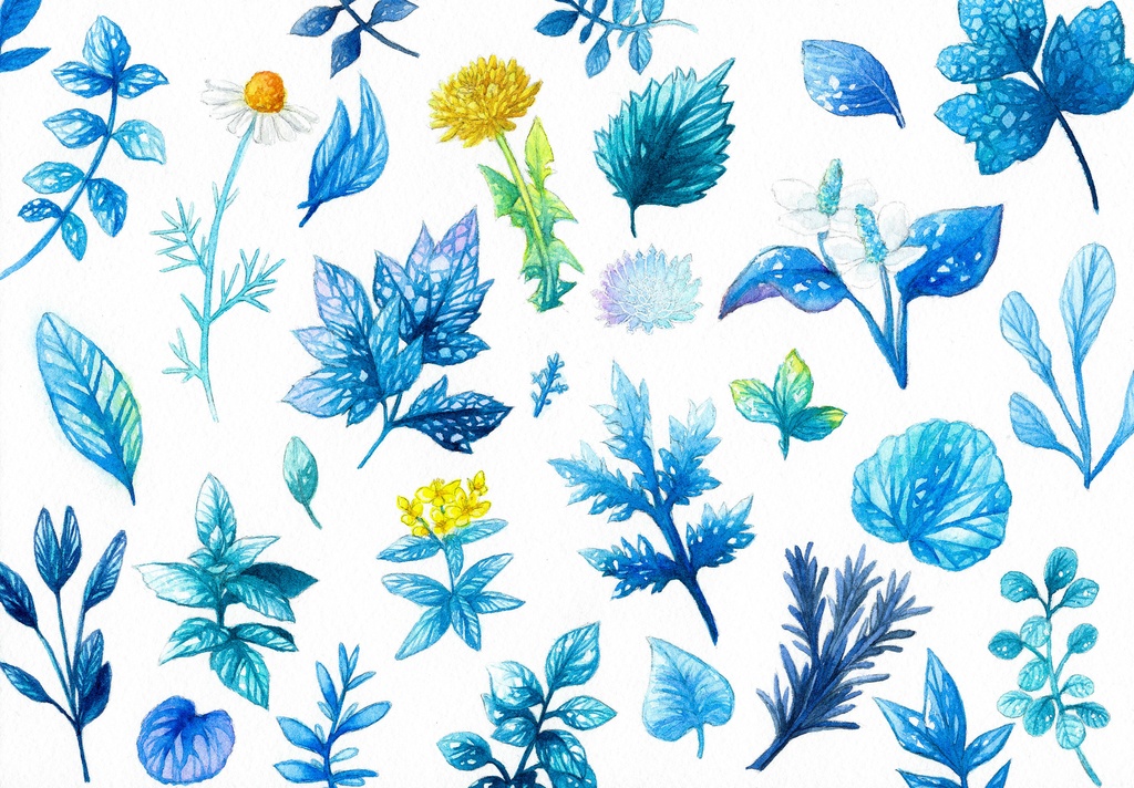 【ポストカード】植物スケッチ