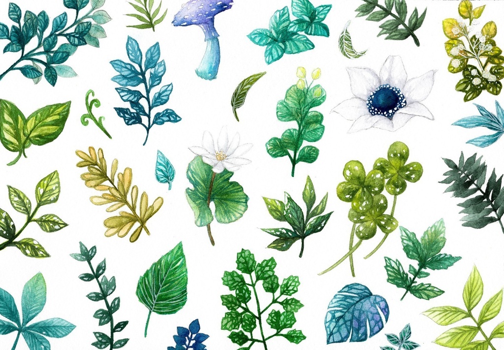 【ポストカード】植物スケッチ