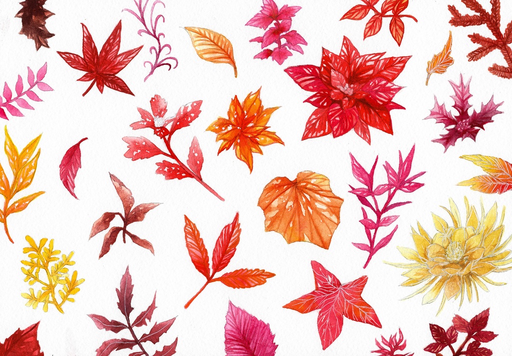 【ポストカード】植物スケッチ