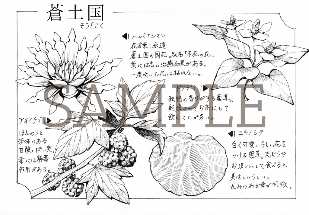 【イラスト本】RECORD