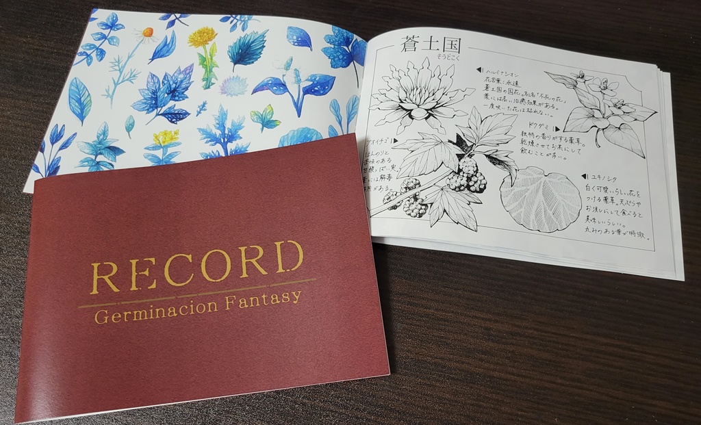 【イラスト本】RECORD