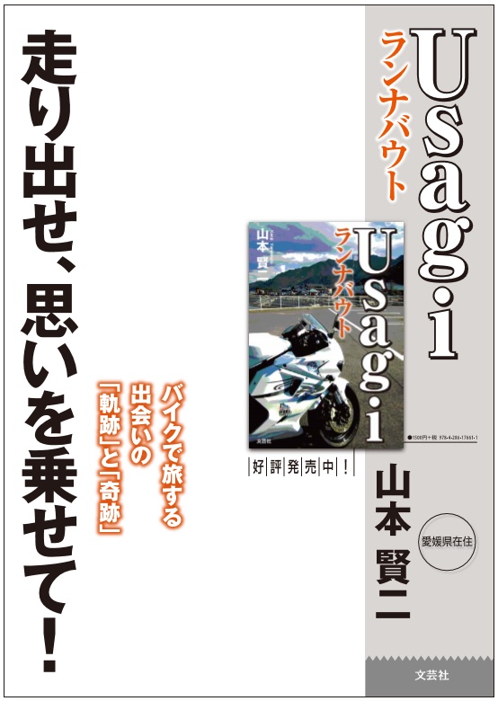 書籍『Usagiランナバウト』