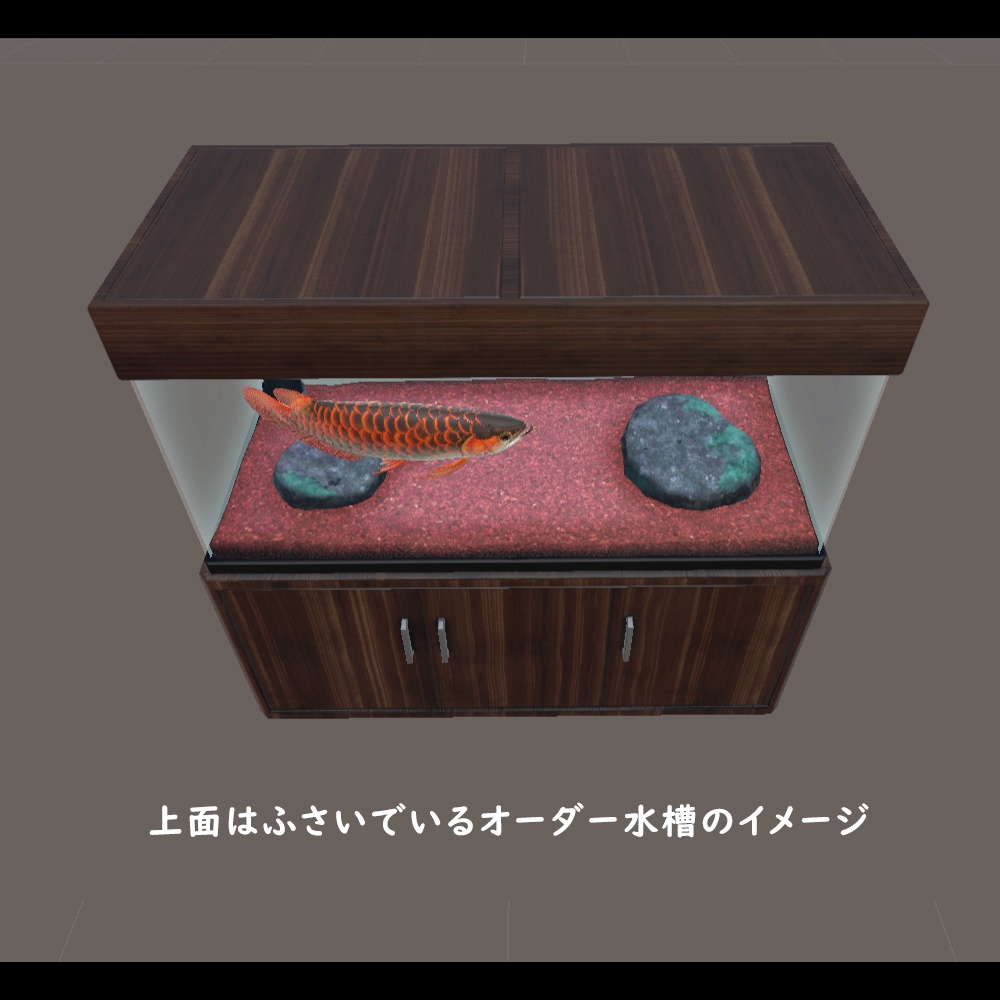 憧れのアロワナ水槽【BuiltIn】