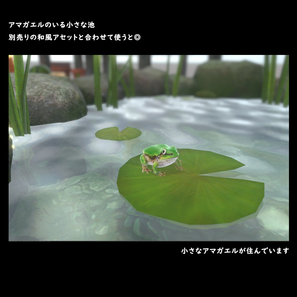 アマガエルのいる小さな池【BuiltIn】