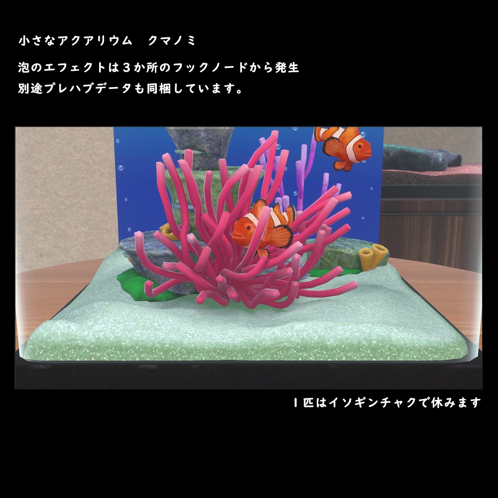 小さなアクアリウム クマノミ【BuiltIn】