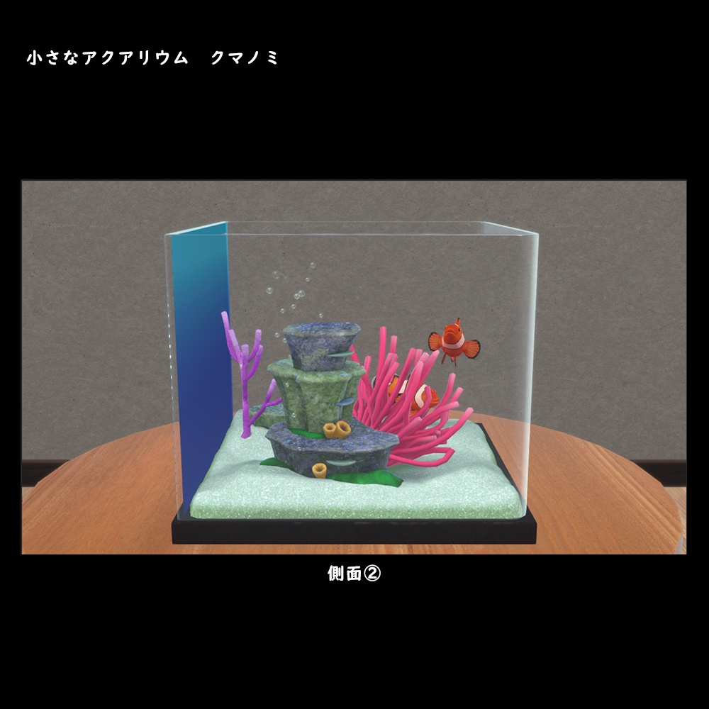 小さなアクアリウム クマノミ【BuiltIn】