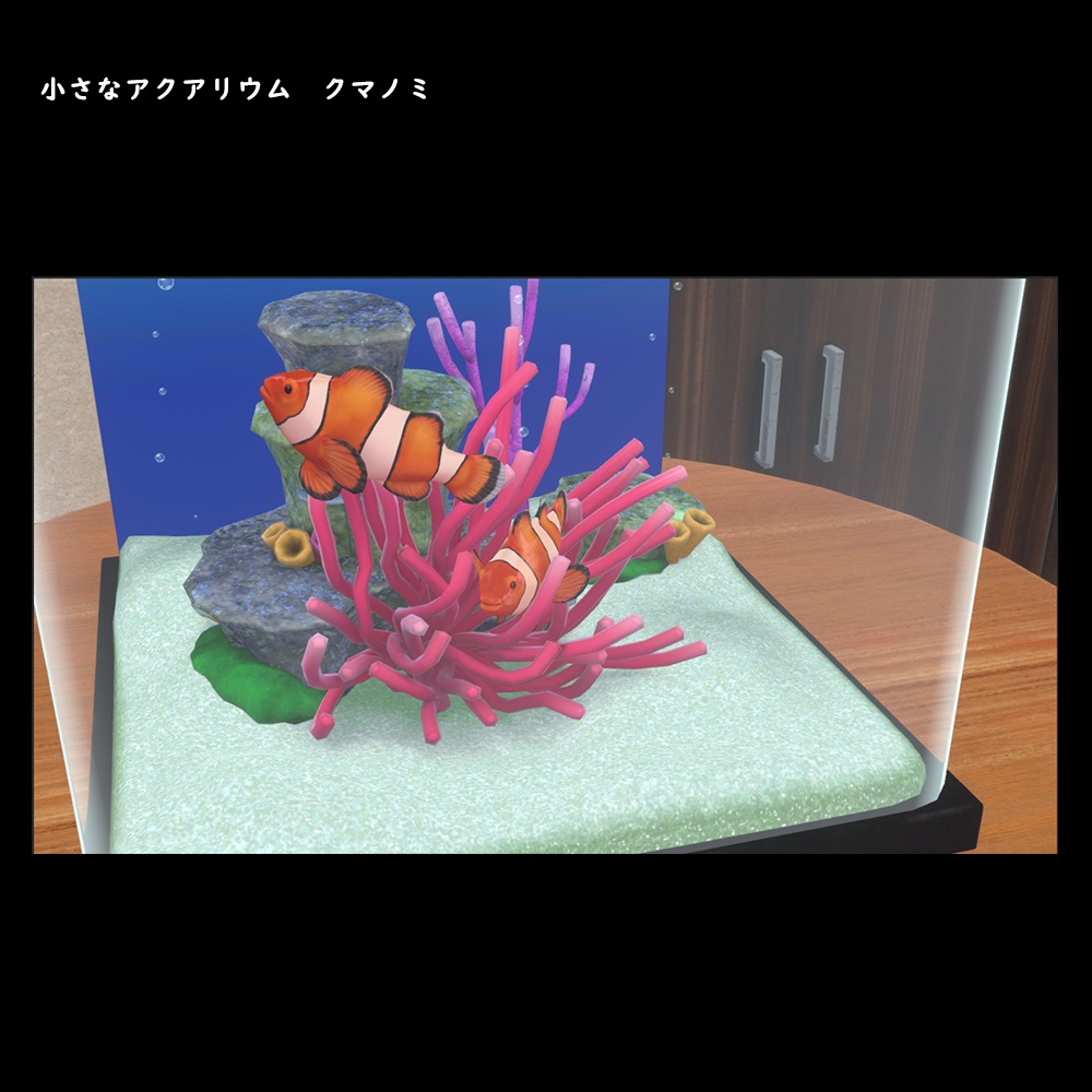小さなアクアリウム クマノミ【BuiltIn】