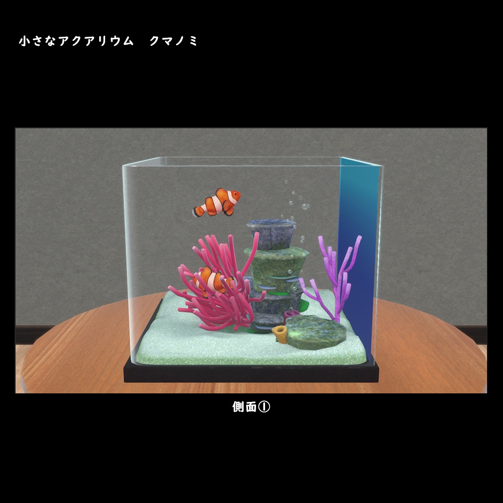 小さなアクアリウム クマノミ【BuiltIn】