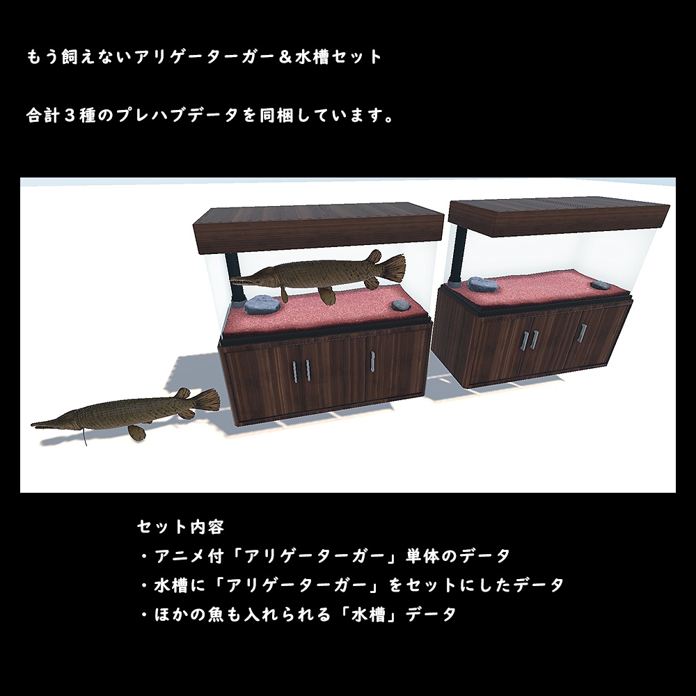 アリゲーターガーと水槽セット【BuiltIn】