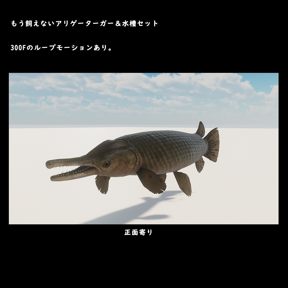 アリゲーターガーと水槽セット【BuiltIn】