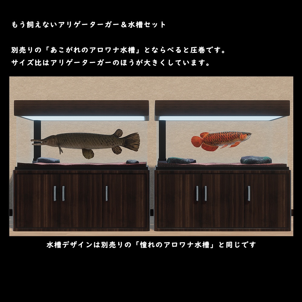 アリゲーターガーと水槽セット【BuiltIn】