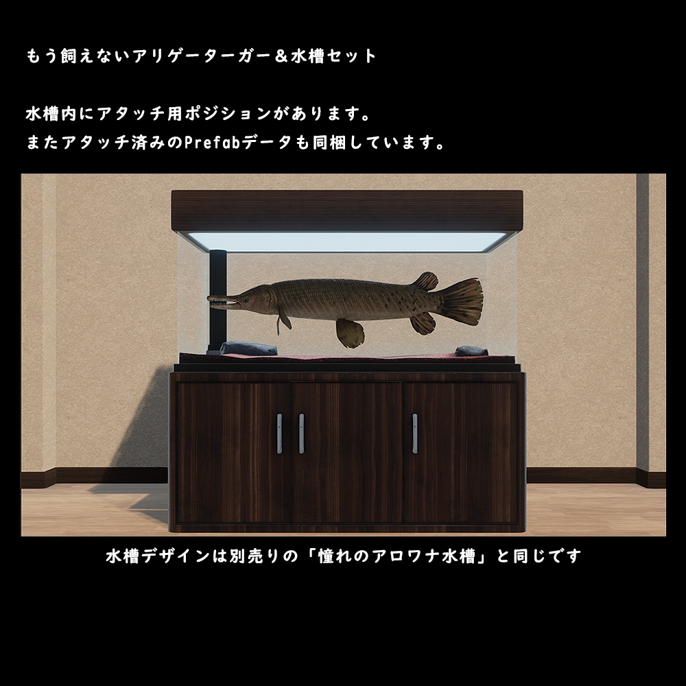 アリゲーターガーと水槽セット【BuiltIn】