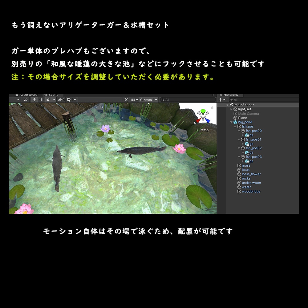 アリゲーターガーと水槽セット【BuiltIn】