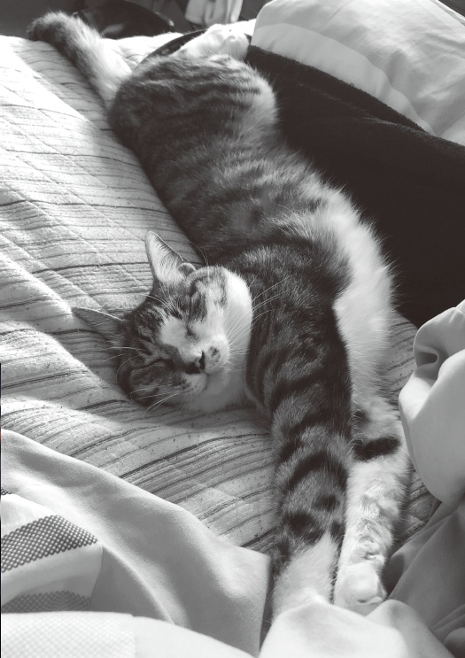 文芸誌『鳩舎創刊号』(DL版)