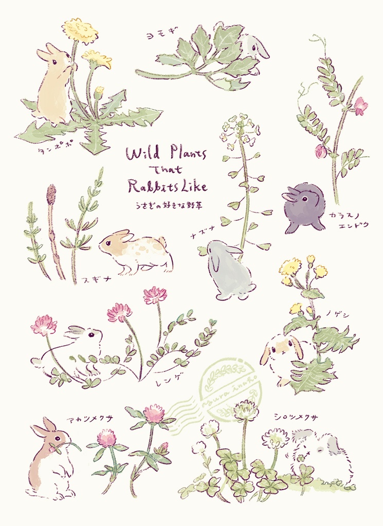 絵で見るうさぎの雑学本
