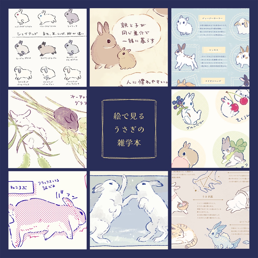 絵で見るうさぎの雑学本