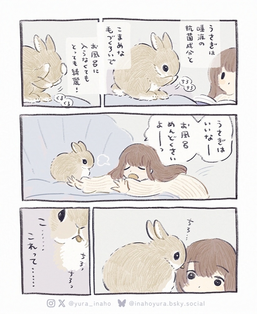 【漫画】愛いうさぎ2
