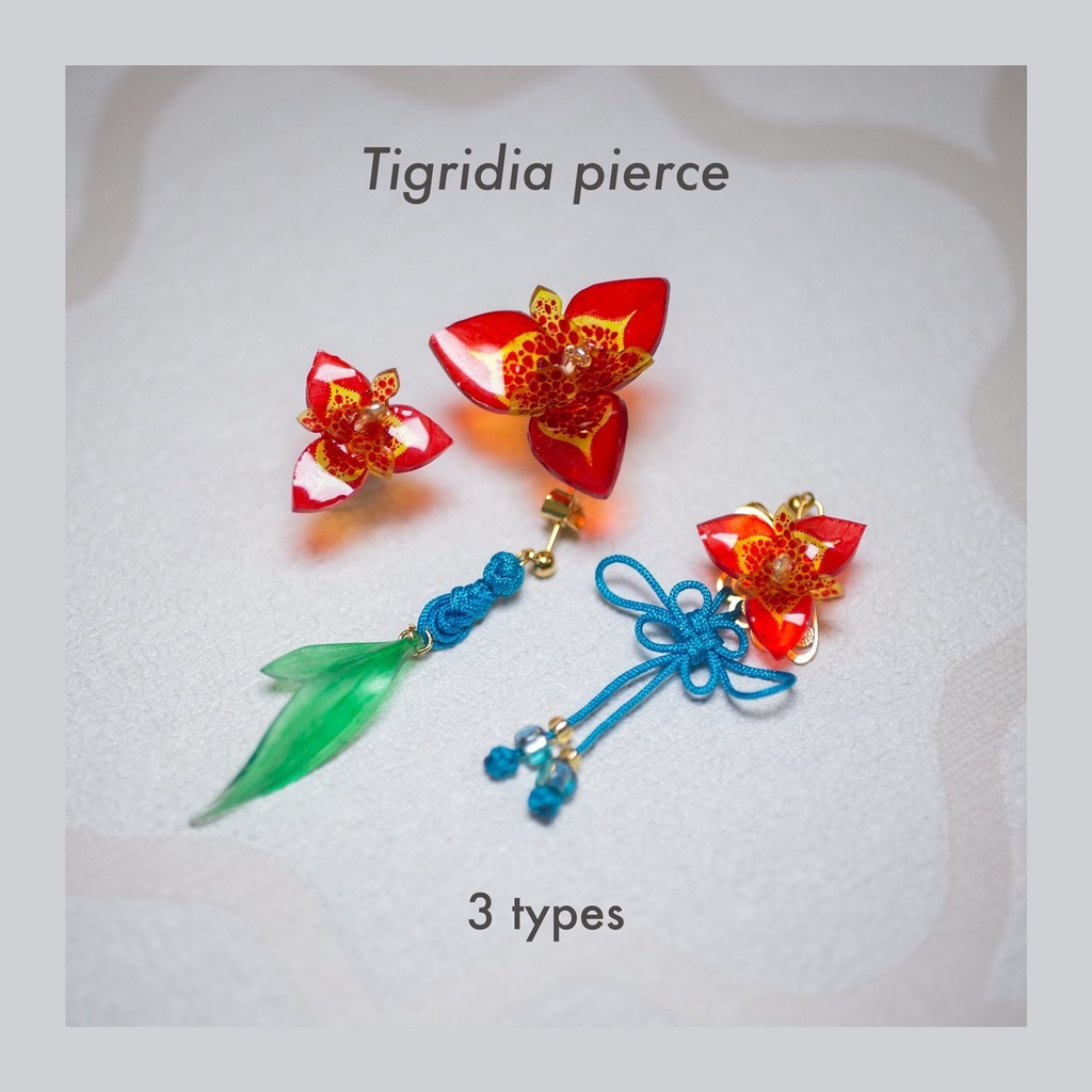 👔イメージアクセ　チグリジアピアス　type A