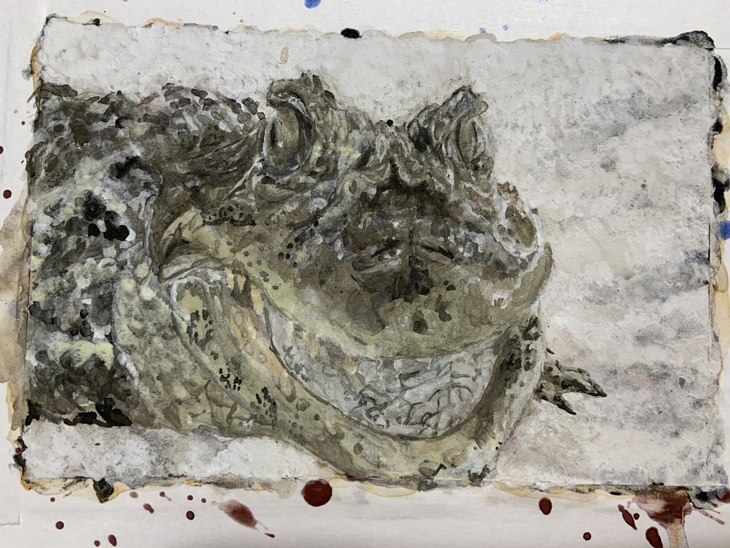 【額装済原画】クチヒロカイマン