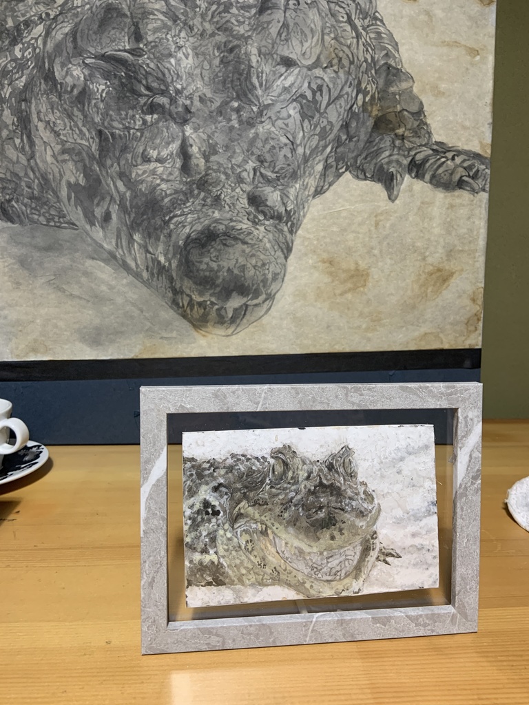 【額装済原画】クチヒロカイマン